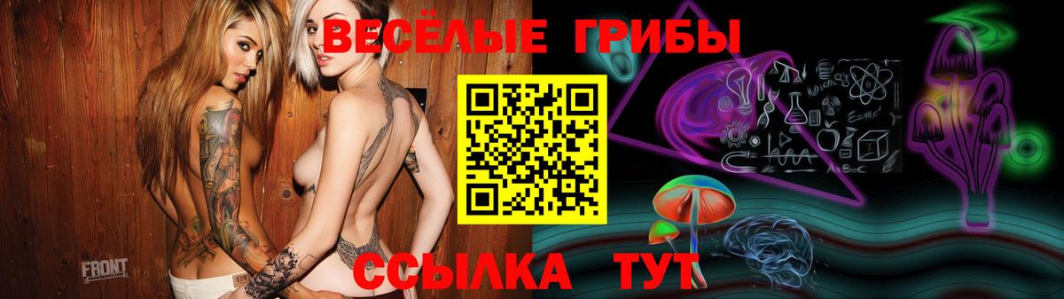 Псилоцибиновые грибы Psilocybe Туймазы